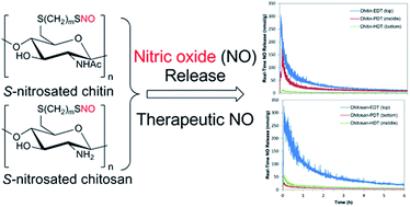 Graphical abstract: Nitric oxide-releasing S-nitrosated derivatives of chitin and chitosan for biomedical applications