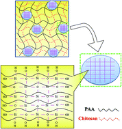 Graphical abstract: Poly(acrylic acid)–chitosan–silica hydrogels carrying platelet gels for bone defect repair