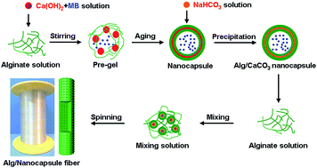 Graphical abstract: Potential of alginate fibers incorporated with drug-loaded nanocapsules as drug delivery systems