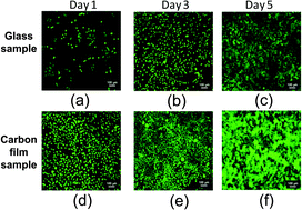 Graphical abstract: Controlling conductivity of carbon film for L-929 cell biocompatibility using magnetron sputtering plasmas