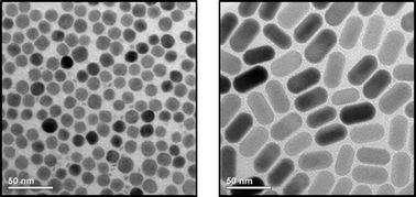 Graphical abstract: In vivo analysis of the size- and time-dependent uptake of NaYF4:Yb,Er upconversion nanocrystals by pumpkin seedlings