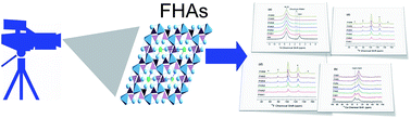 Graphical abstract: Effects of fluorine on the structure of fluorohydroxyapatite: a study by XRD, solid-state NMR and Raman spectroscopy
