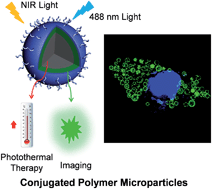 Graphical abstract: Conjugated polymer microparticles for selective cancer cell image-guided photothermal therapy