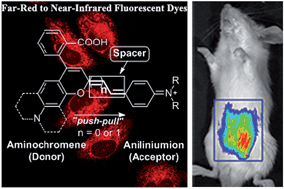 Graphical abstract: Facile synthesis of a class of aminochromene–aniliniumion conjugated far-red to near-infrared fluorescent dyes for bioimaging