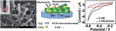 Graphical abstract: A polyaniline microtube platform for direct electron transfer of glucose oxidase and biosensing applications