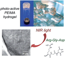Graphical abstract: A supramolecular two-photon-active hydrogel platform for direct bioconjugation under near-infrared radiation