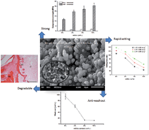 Graphical abstract: Novel bioactive nanocomposite cement formulations with potential properties: incorporation of the nanoparticle form of mesoporous bioactive glass into calcium phosphate cements