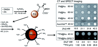 Graphical abstract: Rapid, one-pot procedure to synthesise 103Pd:Pd@Au nanoparticles en route for radiosensitisation and radiotherapeutic applications