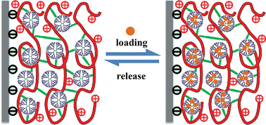 Graphical abstract: Post-infiltration and subsequent photo-crosslinking strategy for layer-by-layer fabrication of stable dendrimers enabling repeated loading and release of hydrophobic molecules