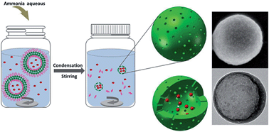 Graphical abstract: Encapsulation of enzymes in silica nanocapsules formed by an amphiphilic precursor polymer in water