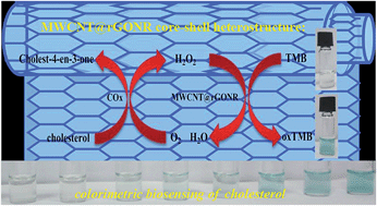 Graphical abstract: Multiwalled carbon nanotube@reduced graphene oxide nanoribbon heterostructure: synthesis, intrinsic peroxidase-like catalytic activity, and its application in colorimetric biosensing