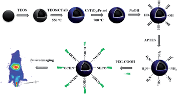 Graphical abstract: Magnetic, long persistent luminescent and mesoporous nanoparticles as trackable transport drug carriers