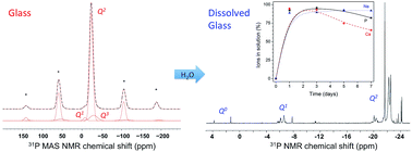 Graphical abstract: 31P NMR characterisation of phosphate fragments during dissolution of calcium sodium phosphate glasses