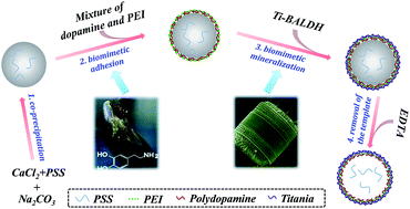 Graphical abstract: Synthesis of organic–inorganic hybrid microcapsules through in situ generation of an inorganic layer on an adhesive layer with mineralization-inducing capability