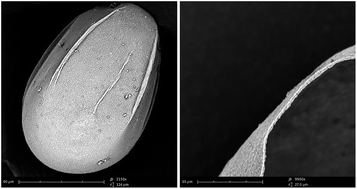 Graphical abstract: Monodisperse hybrid microcapsules with an ultrathin shell of submicron thickness for rapid enzyme reactions