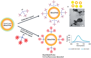 Graphical abstract: Conjugation of multivalent ligands to gold nanoshells and designing a dual modality imaging probe