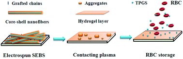 Graphical abstract: Construction of d-α-tocopheryl polyethylene glycol succinate/PEO core–shell nanofibers on a blood-contacting surface to reduce the hemolysis of preserved erythrocytes