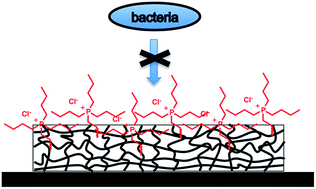 Graphical abstract: Contact active antibacterial phosphonium coatings cured with UV light