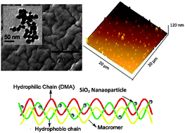 Graphical abstract: Nanocomposited silicone hydrogels with a laser-assisted surface modification for inhibiting the growth of bacterial biofilm