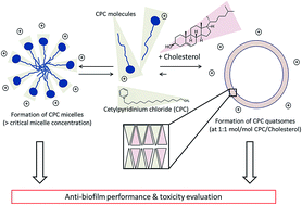 Graphical abstract: Quatsomes for the treatment of Staphylococcus aureus biofilm