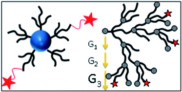 Graphical abstract: Validation of a dendron concept to tune colloidal stability, MRI relaxivity and bioelimination of functional nanoparticles