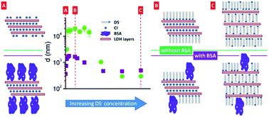 Graphical abstract: Size-tunable LDH–protein hybrids toward the optimization of drug nanocarriers
