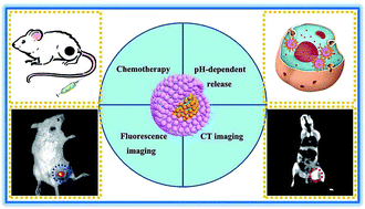 Graphical abstract: Multifunctional spherical gold nanocluster aggregate@polyacrylic acid@mesoporous silica nanoparticles for combined cancer dual-modal imaging and chemo-therapy