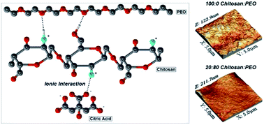 Graphical abstract: Physicochemical and nanomechanical investigation of electrodeposited chitosan:PEO blends