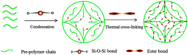 Graphical abstract: Development of silica grafted poly(1,8-octanediol-co-citrates) hybrid elastomers with highly tunable mechanical properties and biocompatibility