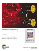 Graphical abstract: Back cover