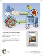 Graphical abstract: Back cover