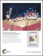 Graphical abstract: Back cover