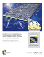 Graphical abstract: Inside back cover