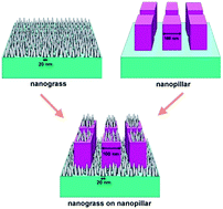 Graphical abstract: Decreasing reflection through the mutually positive effects of nanograss and nanopillars