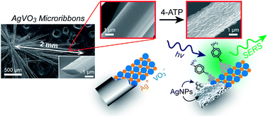 Graphical abstract: Creating SERS hot spots on ultralong single-crystal β-AgVO3 microribbons