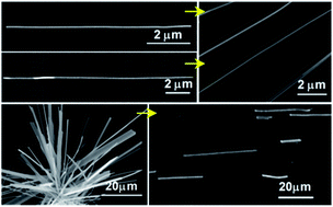 Graphical abstract: An ordered array based on vapor-processed phthalocyanine nanoribbons