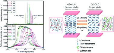 Graphical abstract: An optically stable and tunable quantum dot nanocrystal-embedded cholesteric liquid crystal composite laser