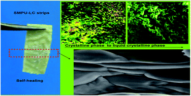 Graphical abstract: Development of liquid-crystalline shape-memory polyurethane composites based on polyurethane with semi-crystalline reversible phase and hexadecyloxybenzoic acid for self-healing applications