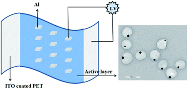 Graphical abstract: Yolk–shell nanorattles encapsulating a movable Au nanocore in electroactive polyaniline shells for flexible memory device