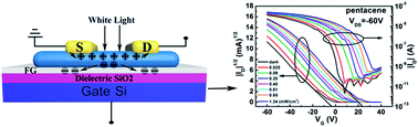 Graphical abstract: Tuning the light response of organic field-effect transistors using fluorographene nanosheets as an interface modification layer