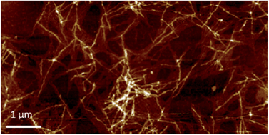 Graphical abstract: Poly(3-alkylthiophene) nanofibers for optoelectronic devices