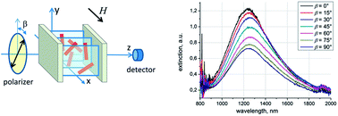 Graphical abstract: Infrared dichroism of gold nanorods controlled using a magnetically addressable mesophase