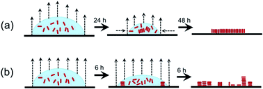 Graphical abstract: High-yield preparation of vertically aligned gold nanorod arrays via a controlled evaporation-induced self-assembly method