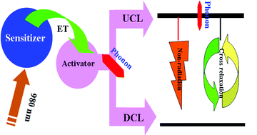 Graphical abstract: Phonon-modulated upconversion luminescence properties in some Er3+ and Yb3+ co-activated oxides