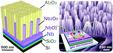 Graphical abstract: Formation–structure–properties of niobium-oxide nanocolumn arrays via self-organized anodization of sputter-deposited aluminum-on-niobium layers