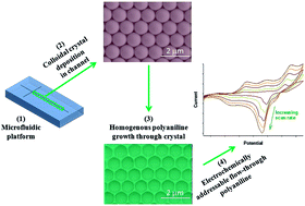 Graphical abstract: Fabrication of homogenous three dimensionally ordered conducting polymer–polystyrene opal structures in microfluidic channels