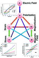 Graphical abstract: Giant magnetodielectric and enhanced multiferroic properties of Sm doped bismuth ferrite nanoparticles