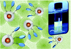 Graphical abstract: Single white light emitting hybrid nanoarchitectures based on functionalized quantum dots