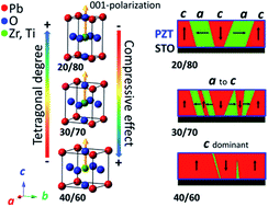 Graphical abstract: Domain evolution of tetragonal Pb(ZrxTi1−x) O3 piezoelectric thin films on SrTiO3 (100) surfaces: combined effects of misfit strain and Zr/Ti ratio