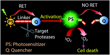 Graphical abstract: Activatable triplet photosensitizers: magic bullets for targeted photodynamic therapy
